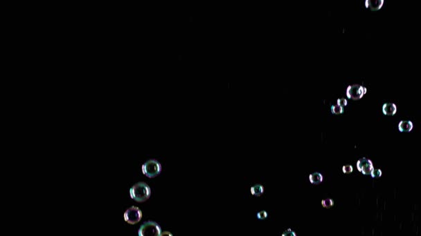zeepbellen op zwarte achtergrond - Video