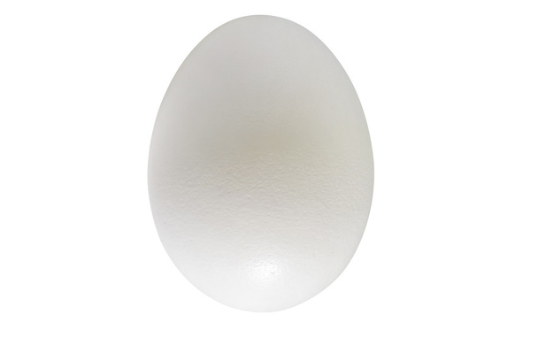 Close-up of chicken egg - Photo, Image
