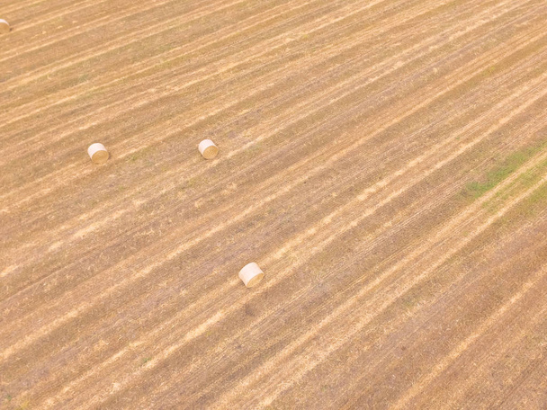 Widok z lotu ptaka beli siana na farmie kukurydzy po zbiorach w Austin, Texas, nas. Złote krajobrazu wiejskiego. Tle rolnictwa. Hay wykorzystywane jako karma dla zwierząt dla wypasu zwierząt jako bydło, konie, kozy, owce - Zdjęcie, obraz