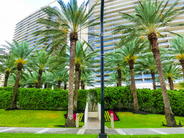 Современные жилые дома с пальмами на Коллинз Авеню
 - Фото, изображение