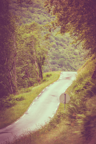 Tie kulkee norjalaisten vuorten halki. Kaunis vihreä luonnonmaisema aurinkoisella säällä, metsä taustalla
. - Valokuva, kuva