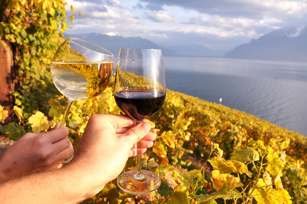 dwie ręce, trzymając wineglases przeciwko winnic w regionie lavaux, - Zdjęcie, obraz