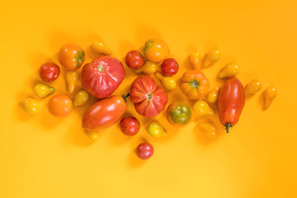 Many different red orange yellow tomatoes on yellow surface.  Beautiful food art background, top view. - Photo, Image