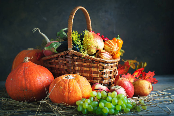 Happy Thanksgiving Day background, wooden table decorated with Pumpkins, Maize, fruits and autumn leaves. Harvest festival. Selective focus. Horizontal. Background with copy space. - Фото, изображение