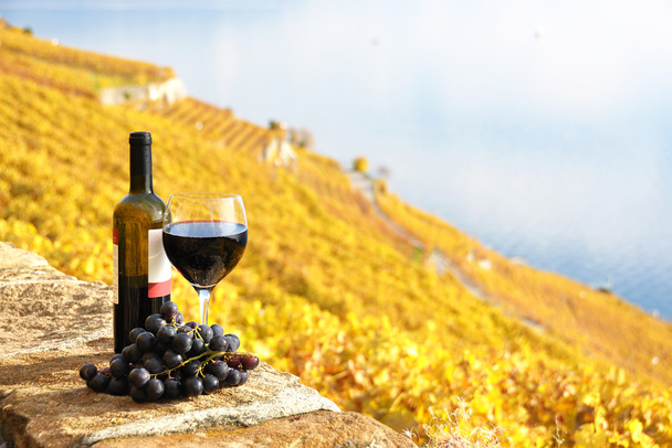 üveg vörös bort a teraszon szőlőültetvényen régióban lavaux, Mária - Fotó, kép