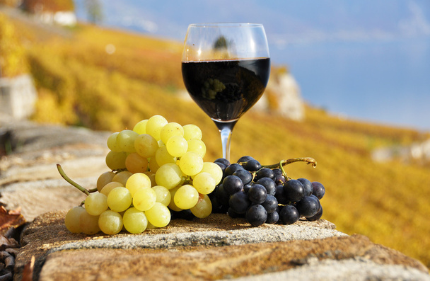 Красное вино и виноград терраса виноградник в регионе Лаво, Switz
 - Фото, изображение