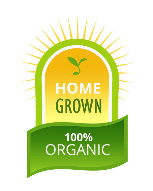Eco-friendly natural products, farm, home grown, biological labels, tags, stickers. - ベクター画像
