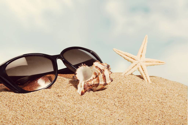 Seashell and sunglasses on sand background. Travel concept  - Zdjęcie, obraz