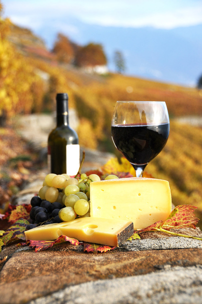 Wine, grapes and cheese against vineyards in Lavaux region, Swit - Photo, Image