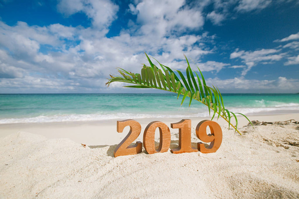 2019 cijfers letters met palmtak, Oceaan, strand en zeegezicht - Foto, afbeelding