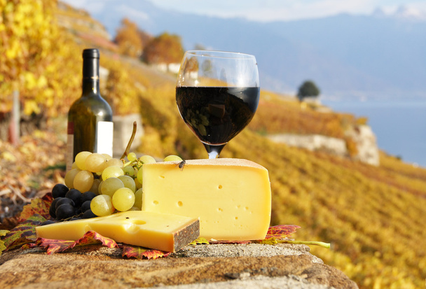 Red wine, cheese and grapes on the terrace of vineyard in Lavaux - Photo, Image