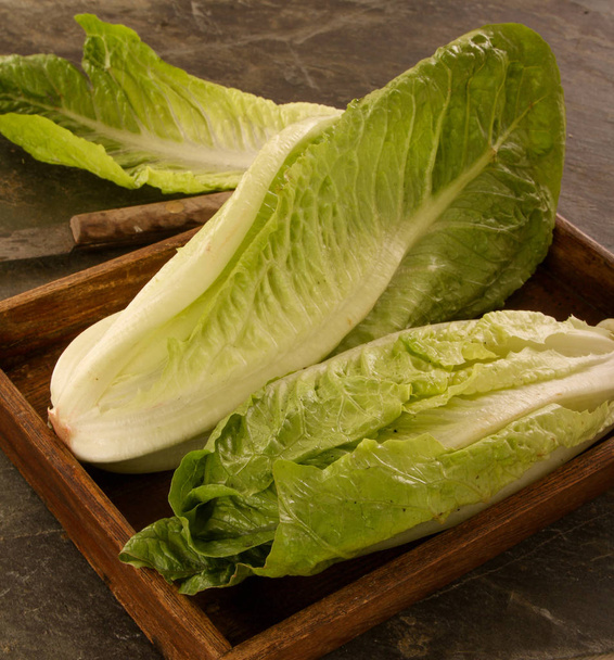 Свіжі здорові листя салату
 - Фото, зображення