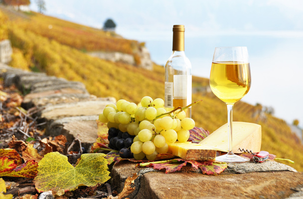 White wine, cheese and grapes on the terrace of vineyard in Lava - Photo, Image