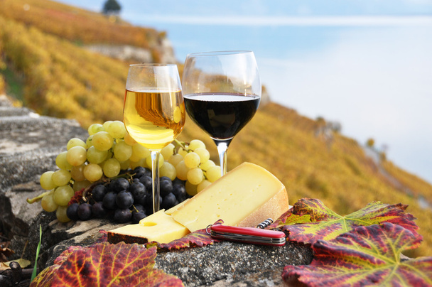 Two wineglasses, cheese and grapes on the terrace of vineyard in - Photo, Image