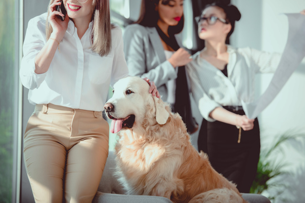 επιχειρηματίας, μιλώντας στο smartphone ενώ χάιδεμα του σκύλου κατά τη διάρκεια εργασιών στο γραφείο - Φωτογραφία, εικόνα