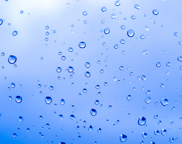 Rain droplets - Photo, Image
