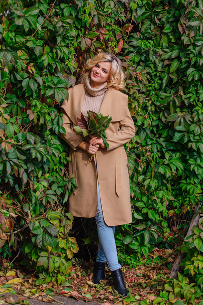 Young beautiful woman in sweater and coat stands next to the background of wild grapes holding bouquet of autumn leaves in park - Fotografie, Obrázek
