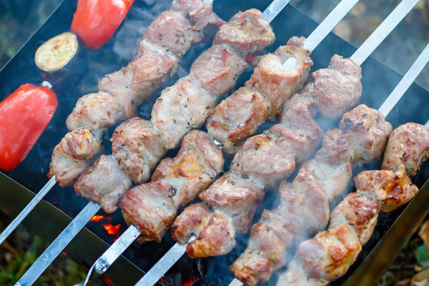 Barbecue skewers with meat on the brazier. Grill pork shish kebab - Foto, afbeelding