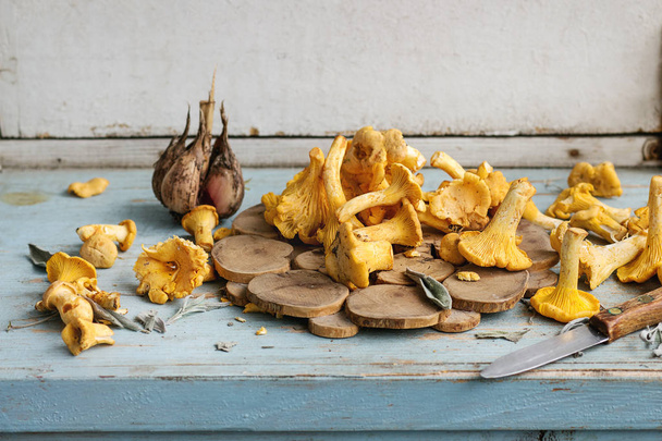 Raw uncooked Chanterelles forest mushrooms on blue white wooden kitchen table with garlic and knife. Rustic style, day light, copy space - Fotó, kép