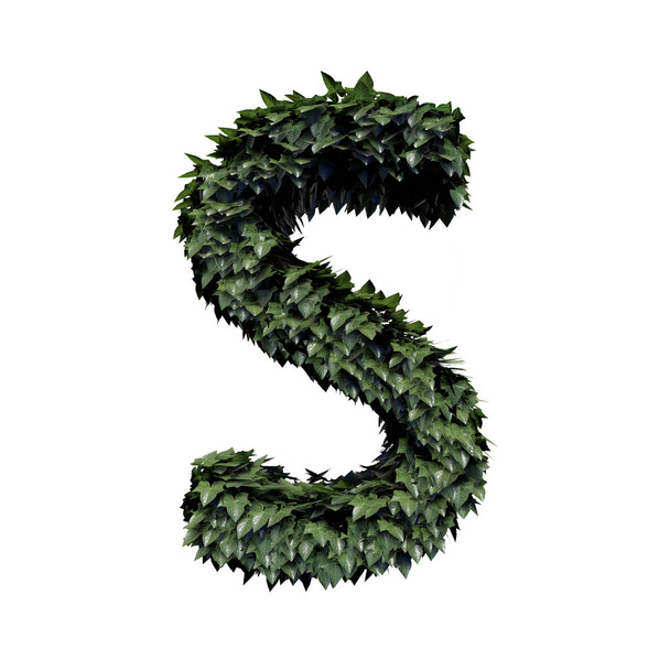 Foliage Letter S, 3D Rendering - Photo, Image