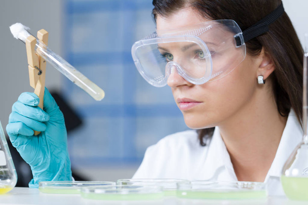 Health care professional researching in scientific laboratory. - Foto, afbeelding