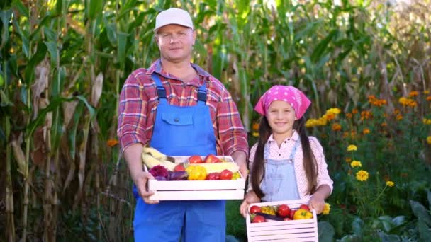 portret uśmiechnięta rodzina rolników, Tata i Córka, trzymając drewniane skrzynie z różnych warzyw, Zbierz na farmie, słoneczny letni dzień. ogród warzywny - Materiał filmowy, wideo