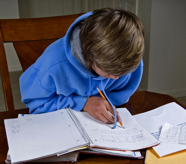 Teenager doing homework - Photo, Image