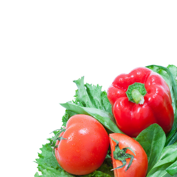 Изолированные свежие красочные овощи
 - Фото, изображение