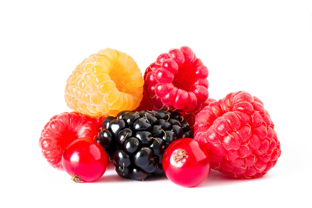 Fresh Sweet Berries on the White Background. Ripe Juicy Raspberry, Blackberry, Currants - Photo, Image