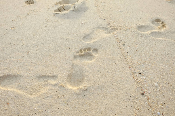 footprint on the beach at the sea - Photo, Image