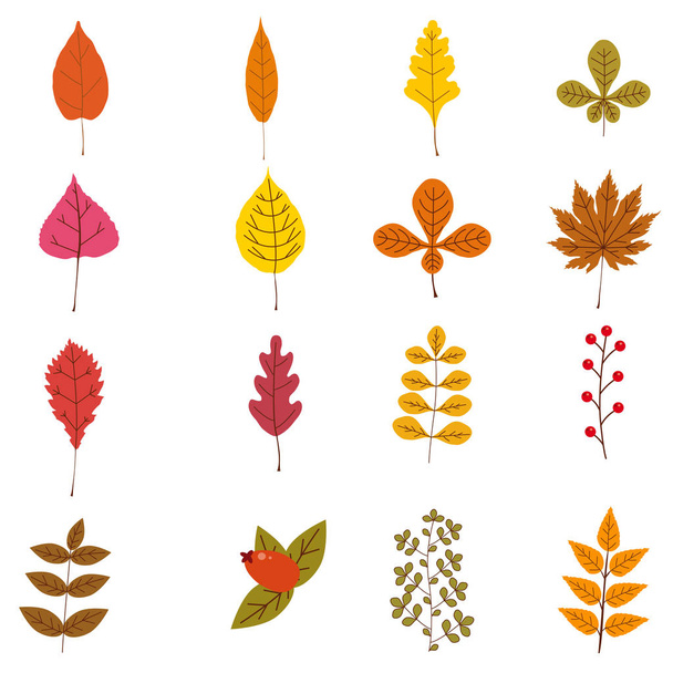Verzameling leuke kleurrijke herfst bladeren en bessen. Geel, oranje, rood, bruin kleuren. Geïsoleerd op een witte achtergrond. Eenvoudige cartoon vlakke stijl. vectorillustratie. - Vector, afbeelding