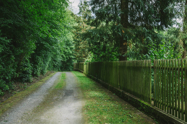 rural road near wooden fence and trees in Wurzburg, Germany - Photo, Image