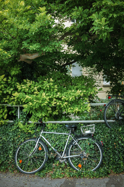 Ποδήλατα - Φωτογραφία, εικόνα