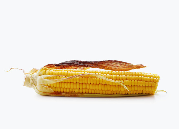 The grilled corn isolated on white background - Photo, Image