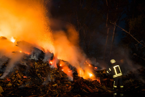 Nacht brand in het bos - Foto, afbeelding