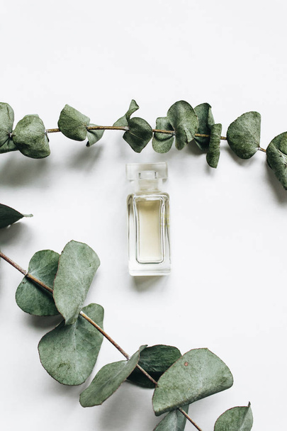 perfume bottle and eucalyptus twigs on white background, flat lay  - Photo, Image