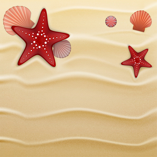Cáscaras de mar sobre arena, fondo
 - Vector, Imagen