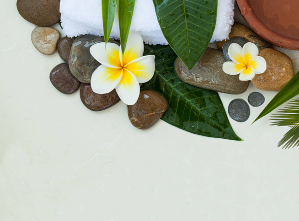 Spa background with green leaves, white flowers and dark stones on white background - Photo, Image