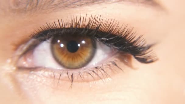 Vrouwelijke ogen. Vrouwelijke ogen met uitgebreide wimpers - Video
