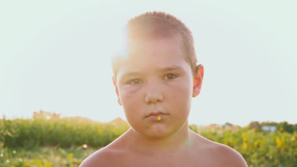 Portret van een mollig jongen met een black-eye op de achtergrond van een groen veld, een verdrietig kind met een naakte torso en een blauwe plek op zijn gezicht - Video