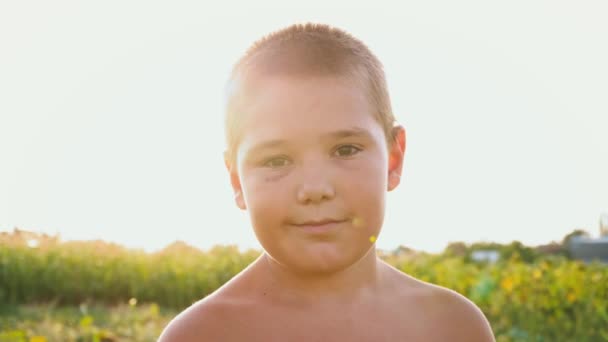 Portret van een mollig jongen met een black-eye op de achtergrond van een groen veld, een kind met een naakte torso en een blauwe plek op zijn gezicht, low-key glimlach - Video