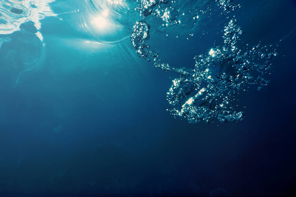 Underwater bubbles with sunlight. Underwater background bubbles. - Fotó, kép