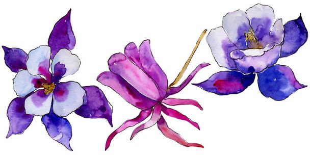 Aquarell blaue Aquilegia Blume. Blütenbotanische Blume. isoliertes Illustrationselement. Aquarell-Wildblume für Hintergrund, Textur, Wickelmuster, Rahmen oder Rand. - Foto, Bild