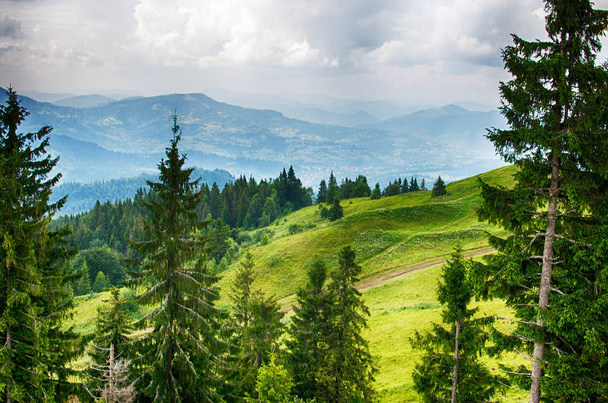 The landscape on the Carpathian Mountains in Ukraine on a summer day - Фото, изображение
