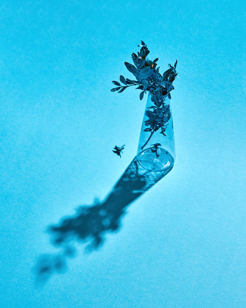 The glass vase with painting leaf branch on a blue paper background with long shadows, place under text. - Photo, Image