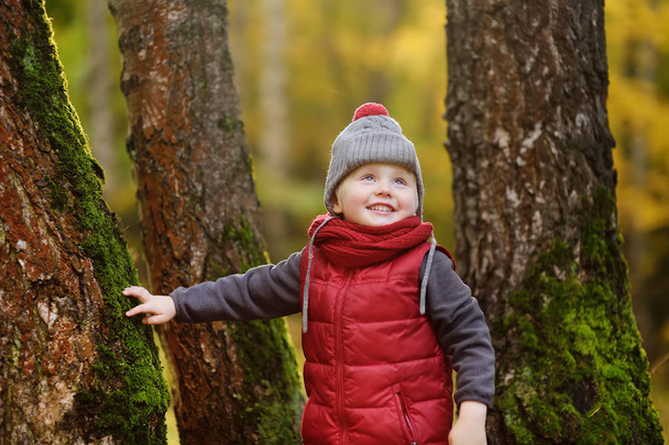 Little boy during stroll in the forest at sunny autumn day. Active family time on nature. Hiking with little kids - Fotó, kép