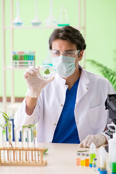 Jeune chimiste biotechnicien travaillant en laboratoire - Photo, image