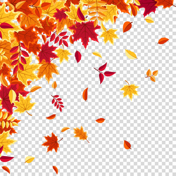 Herfst vallende bladeren. Natuur achtergrond met rood, oranje, geel blad. Vliegend blad. Seizoensverkoop. Vectorillustratie. - Vector, afbeelding