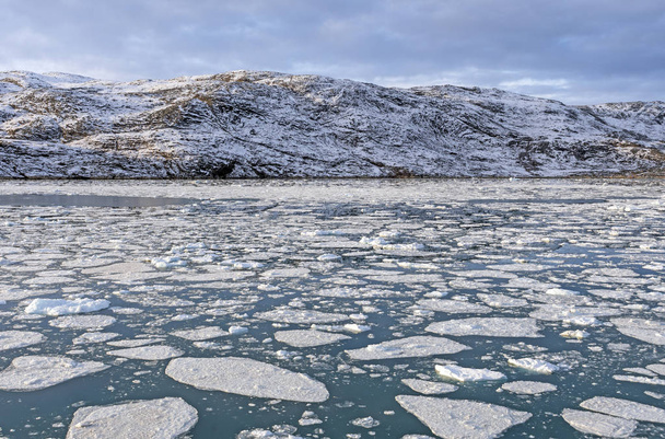 Tengeri jég a jeges Fjord, közelében a Nyugat-grönlandi Eqip Sermia gleccser - Fotó, kép