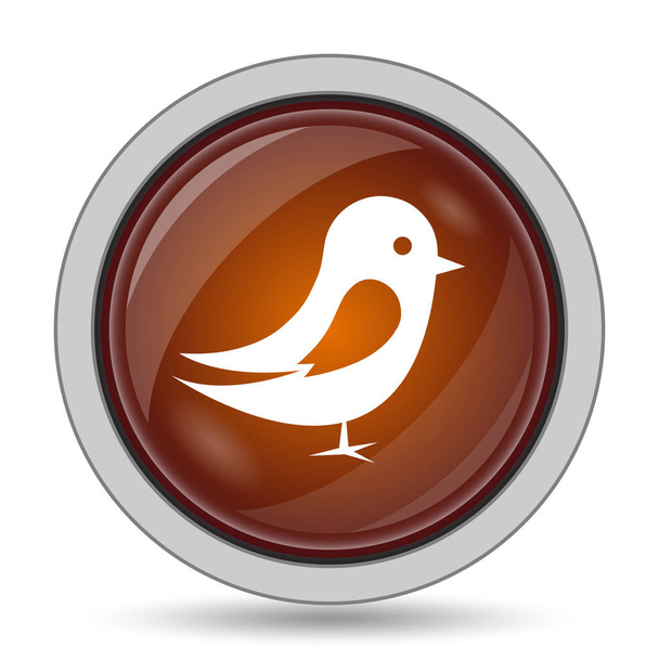 Ícone de pássaro, botão laranja do site no fundo branco
 - Foto, Imagem
